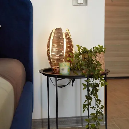 Apartment Tropical Dream