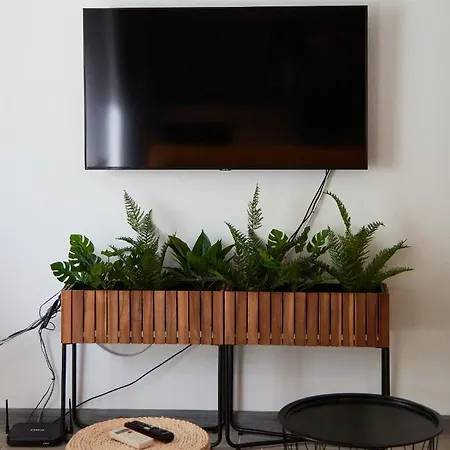 Apartment Tropical Dream Navodari