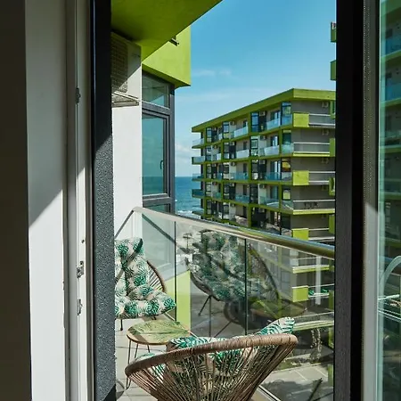 Tropical Dream