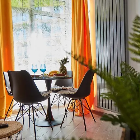 Apartment Tropical Dream Navodari