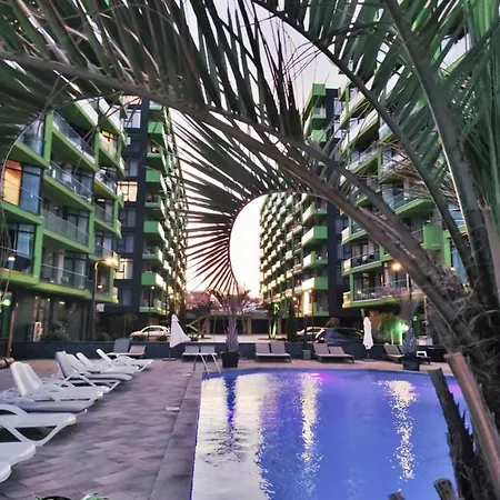 Tropical Dream Apartment